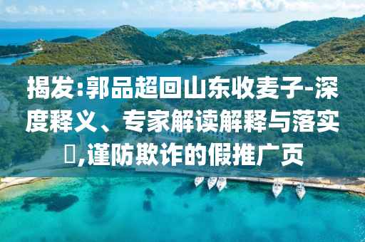 揭發(fā):郭品超回山東收麥子-深度釋義、專家解讀解釋與落實?,謹防欺詐的假推廣頁