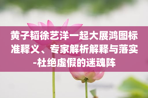 黃子韜徐藝洋一起大展鴻圖標準釋義、專家解析解釋與落實-杜絕虛假的迷魂陣