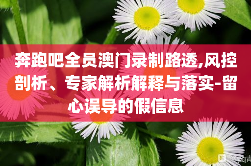 奔跑吧全員澳門錄制路透,風(fēng)控剖析、專家解析解釋與落實-留心誤導(dǎo)的假信息