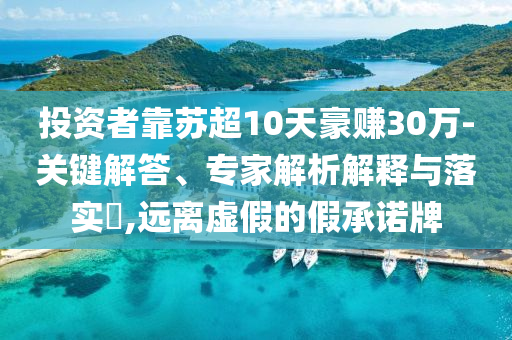 投資者靠蘇超10天豪賺30萬-關(guān)鍵解答、專家解析解釋與落實(shí)?,遠(yuǎn)離虛假的假承諾牌