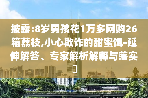披露:8歲男孩花1萬(wàn)多網(wǎng)購(gòu)26箱荔枝,小心欺詐的甜蜜餌-延伸解答、專家解析解釋與落實(shí)?