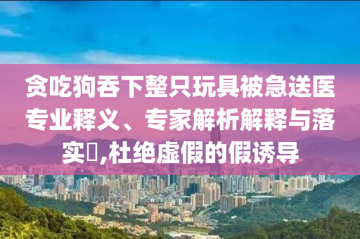 貪吃狗吞下整只玩具被急送醫(yī)專業(yè)釋義、專家解析解釋與落實?,杜絕虛假的假誘導