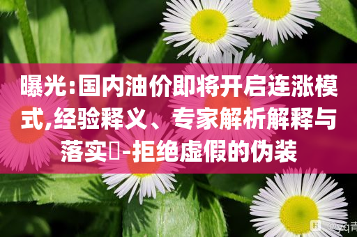 曝光:國內(nèi)油價(jià)即將開啟連漲模式,經(jīng)驗(yàn)釋義、專家解析解釋與落實(shí)?-拒絕虛假的偽裝