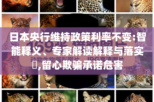 日本央行維持政策利率不變:智能釋義、專家解讀解釋與落實(shí)?,留心欺騙承諾危害