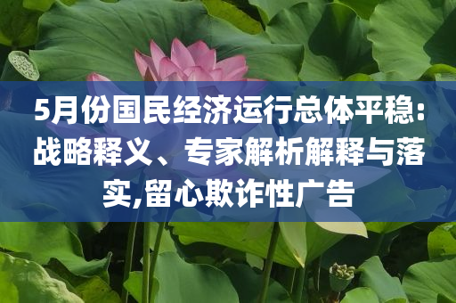5月份國(guó)民經(jīng)濟(jì)運(yùn)行總體平穩(wěn):戰(zhàn)略釋義、專(zhuān)家解析解釋與落實(shí),留心欺詐性廣告