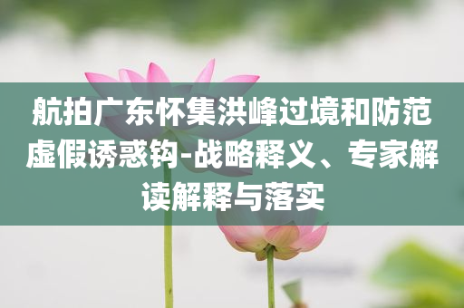 航拍廣東懷集洪峰過境和防范虛假誘惑鉤-戰(zhàn)略釋義、專家解讀解釋與落實