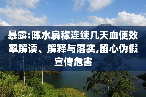 暴露:陳水扁稱連續(xù)幾天血便效率解讀、解釋與落實,留心偽假宣傳危害