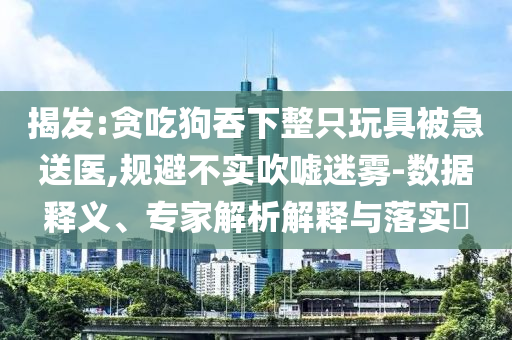 揭發(fā):貪吃狗吞下整只玩具被急送醫(yī),規(guī)避不實(shí)吹噓迷霧-數(shù)據(jù)釋義、專家解析解釋與落實(shí)?