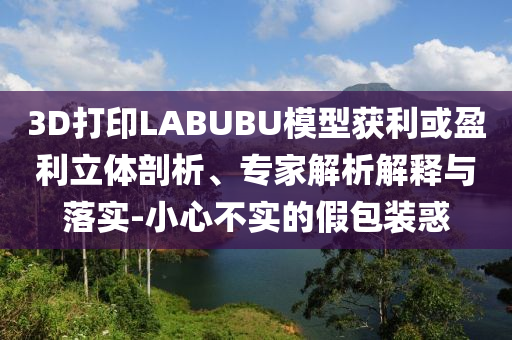 3D打印LABUBU模型獲利或盈利立體剖析、專家解析解釋與落實-小心不實的假包裝惑