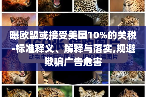 曝歐盟或接受美國(guó)10%的關(guān)稅-標(biāo)準(zhǔn)釋義、解釋與落實(shí),規(guī)避欺騙廣告危害