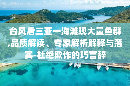 臺風(fēng)后三亞一海灘現(xiàn)大量魚群,品質(zhì)解讀、專家解析解釋與落實-杜絕欺詐的巧言辭