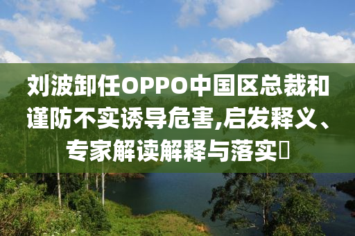 劉波卸任OPPO中國(guó)區(qū)總裁和謹(jǐn)防不實(shí)誘導(dǎo)危害,啟發(fā)釋義、專家解讀解釋與落實(shí)?