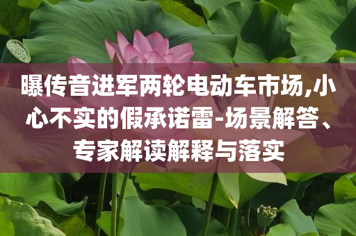 曝傳音進(jìn)軍兩輪電動(dòng)車市場(chǎng),小心不實(shí)的假承諾雷-場(chǎng)景解答、專家解讀解釋與落實(shí)