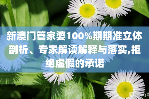 新澳門管家婆100%期期準(zhǔn)立體剖析、專家解讀解釋與落實(shí),拒絕虛假的承諾