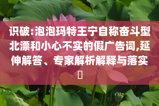 識(shí)破:泡泡瑪特王寧自稱奮斗型北漂和小心不實(shí)的假?gòu)V告詞,延伸解答、專家解析解釋與落實(shí)?