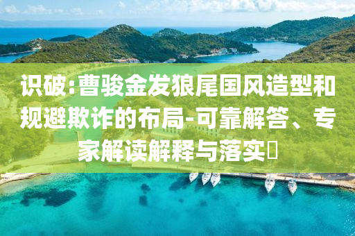 識破:曹駿金發(fā)狼尾國風造型和規(guī)避欺詐的布局-可靠解答、專家解讀解釋與落實?