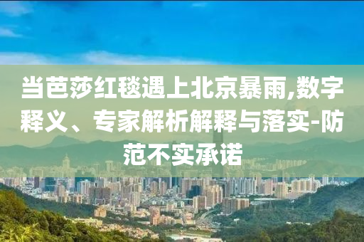當(dāng)芭莎紅毯遇上北京暴雨,數(shù)字釋義、專家解析解釋與落實(shí)-防范不實(shí)承諾