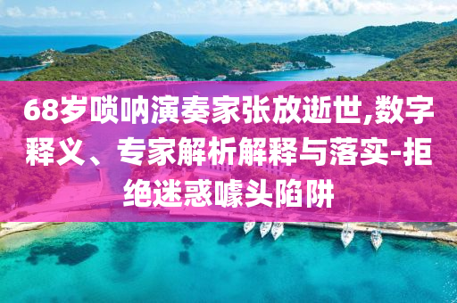 68歲嗩吶演奏家張放逝世,數(shù)字釋義、專家解析解釋與落實-拒絕迷惑噱頭陷阱