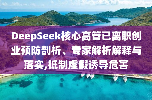 DeepSeek核心高管已離職創(chuàng)業(yè)預(yù)防剖析、專家解析解釋與落實(shí),抵制虛假誘導(dǎo)危害
