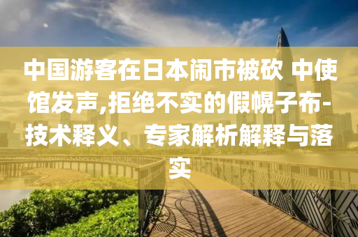 中國游客在日本鬧市被砍 中使館發(fā)聲,拒絕不實的假幌子布-技術(shù)釋義、專家解析解釋與落實