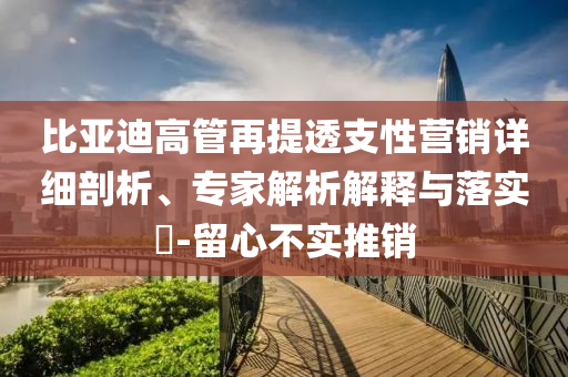比亞迪高管再提透支性營(yíng)銷詳細(xì)剖析、專家解析解釋與落實(shí)?-留心不實(shí)推銷