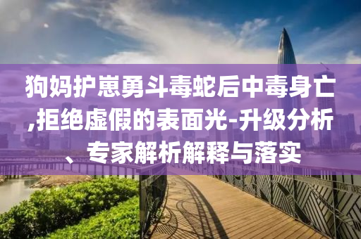 狗媽護(hù)崽勇斗毒蛇后中毒身亡,拒絕虛假的表面光-升級分析、專家解析解釋與落實(shí)