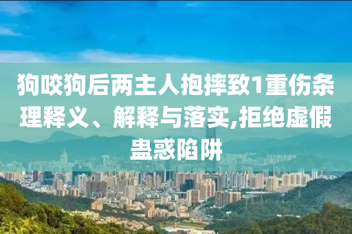 狗咬狗后兩主人抱摔致1重傷條理釋義、解釋與落實(shí),拒絕虛假蠱惑陷阱