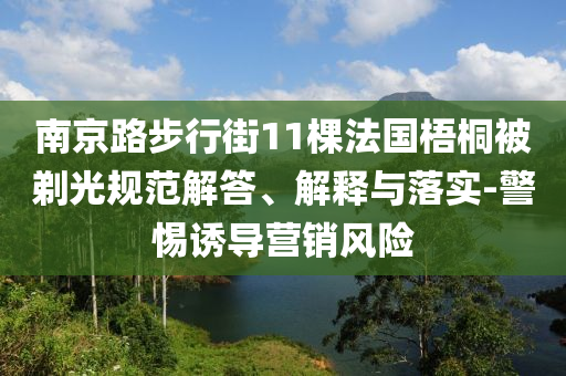 南京路步行街11棵法國梧桐被剃光規(guī)范解答、解釋與落實-警惕誘導營銷風險