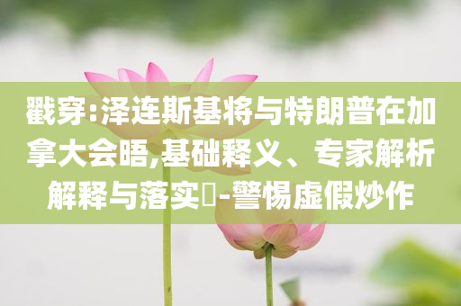 戳穿:澤連斯基將與特朗普在加拿大會晤,基礎(chǔ)釋義、專家解析解釋與落實?-警惕虛假炒作