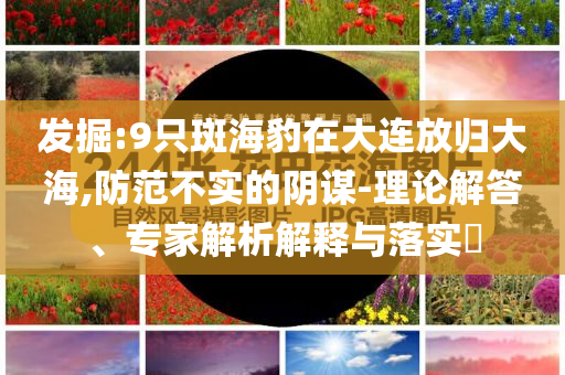 發(fā)掘:9只斑海豹在大連放歸大海,防范不實的陰謀-理論解答、專家解析解釋與落實?
