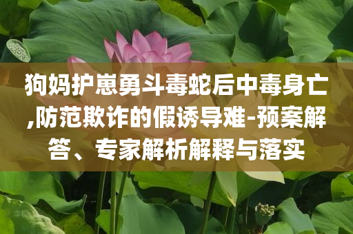 狗媽護崽勇斗毒蛇后中毒身亡,防范欺詐的假誘導難-預案解答、專家解析解釋與落實