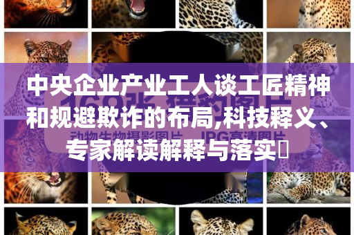 中央企業(yè)產(chǎn)業(yè)工人談工匠精神和規(guī)避欺詐的布局,科技釋義、專家解讀解釋與落實(shí)?