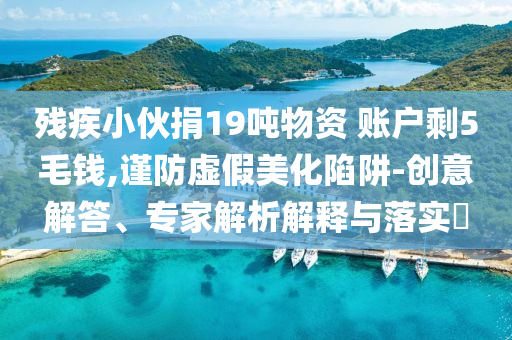 殘疾小伙捐19噸物資 賬戶剩5毛錢,謹(jǐn)防虛假美化陷阱-創(chuàng)意解答、專家解析解釋與落實(shí)?