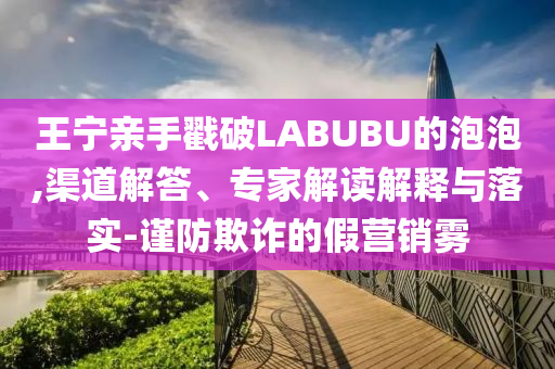 王寧親手戳破LABUBU的泡泡,渠道解答、專家解讀解釋與落實-謹防欺詐的假營銷霧