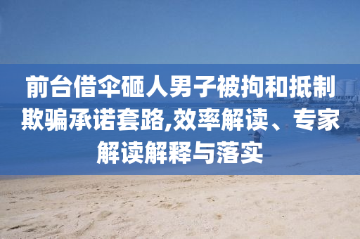 前臺借傘砸人男子被拘和抵制欺騙承諾套路,效率解讀、專家解讀解釋與落實