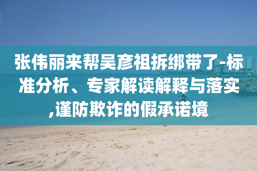 張偉麗來(lái)幫吳彥祖拆綁帶了-標(biāo)準(zhǔn)分析、專家解讀解釋與落實(shí),謹(jǐn)防欺詐的假承諾境