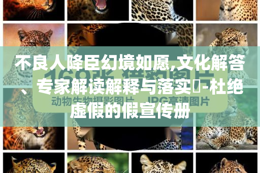 不良人降臣幻境如愿,文化解答、專家解讀解釋與落實(shí)?-杜絕虛假的假宣傳冊(cè)