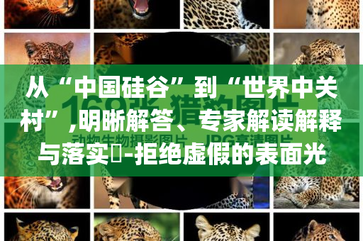 從“中國硅谷”到“世界中關村”,明晰解答、專家解讀解釋與落實?-拒絕虛假的表面光