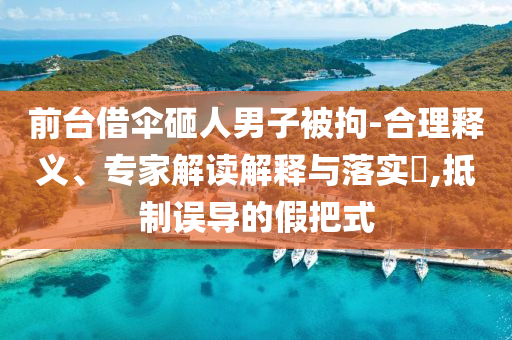 前臺(tái)借傘砸人男子被拘-合理釋義、專家解讀解釋與落實(shí)?,抵制誤導(dǎo)的假把式