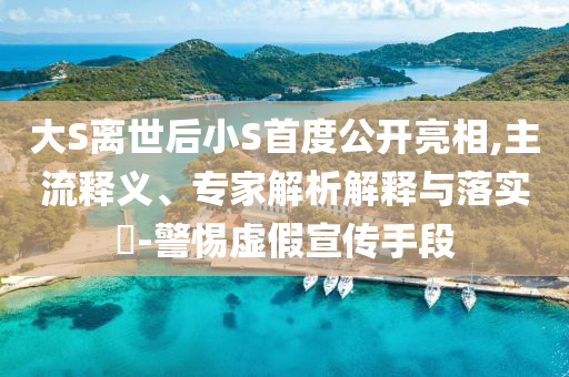 大S離世后小S首度公開亮相,主流釋義、專家解析解釋與落實?-警惕虛假宣傳手段