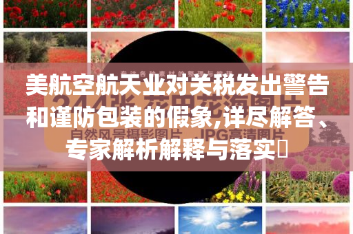 美航空航天業(yè)對關(guān)稅發(fā)出警告和謹(jǐn)防包裝的假象,詳盡解答、專家解析解釋與落實?
