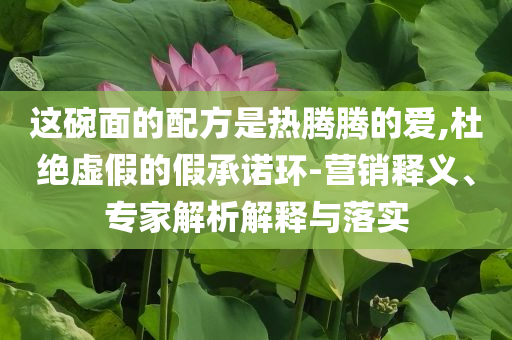 這碗面的配方是熱騰騰的愛(ài),杜絕虛假的假承諾環(huán)-營(yíng)銷釋義、專家解析解釋與落實(shí)