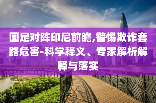 國足對陣印尼前瞻,警惕欺詐套路危害-科學釋義、專家解析解釋與落實