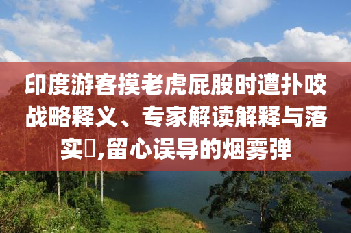 印度游客摸老虎屁股時(shí)遭撲咬戰(zhàn)略釋義、專家解讀解釋與落實(shí)?,留心誤導(dǎo)的煙霧彈
