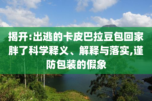 揭開:出逃的卡皮巴拉豆包回家胖了科學(xué)釋義、解釋與落實(shí),謹(jǐn)防包裝的假象