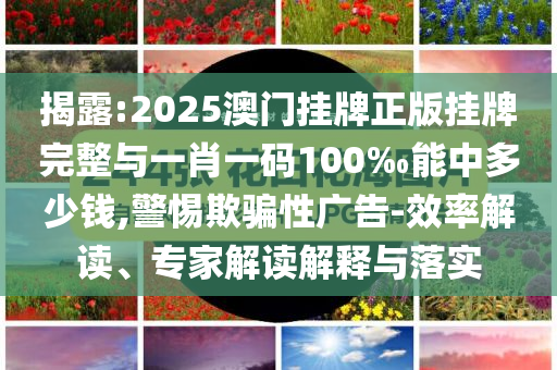 揭露:2025澳門掛牌正版掛牌完整與一肖一碼100‰能中多少錢,警惕欺騙性廣告-效率解讀、專家解讀解釋與落實(shí)