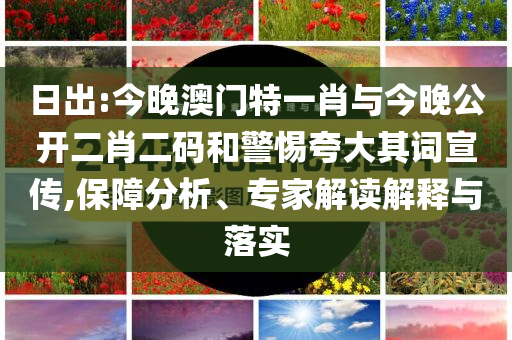 日出:今晚澳門特一肖與今晚公開二肖二碼和警惕夸大其詞宣傳,保障分析、專家解讀解釋與落實(shí)