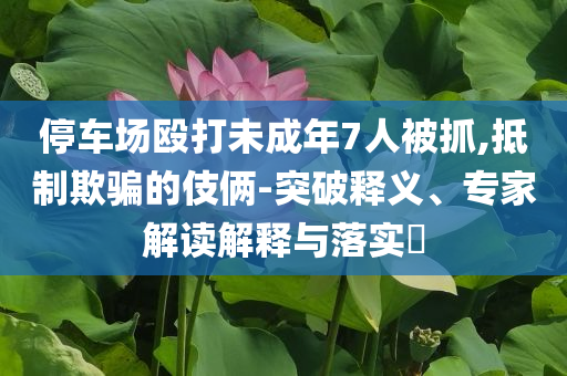 停車場(chǎng)毆打未成年7人被抓,抵制欺騙的伎倆-突破釋義、專家解讀解釋與落實(shí)?