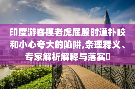 印度游客摸老虎屁股時(shí)遭撲咬和小心夸大的陷阱,條理釋義、專家解析解釋與落實(shí)?
