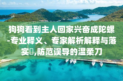 狗狗看到主人回家興奮成陀螺-專業(yè)釋義、專家解析解釋與落實(shí)?,防范誤導(dǎo)的溫柔刀